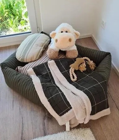 New With Breathtaking Views! * Alt St. Johann