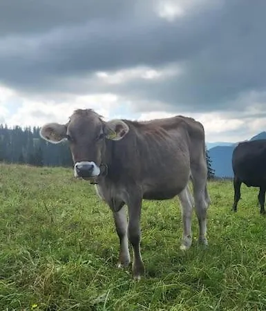 New With Breathtaking Views! Chalet