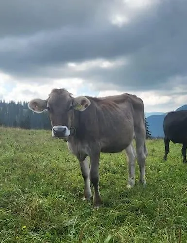 New With Breathtaking Views! Chalet